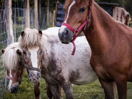 Les Écuries Chouetland