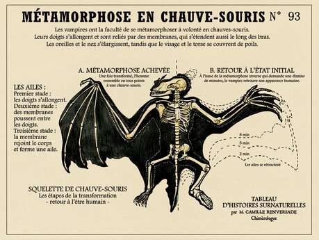 Semaine de Samain - Dans l'antre des chauve-souris, visite nocturne