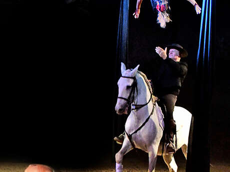Spectacle équestre "Les chevaux dansent à la Bodega"