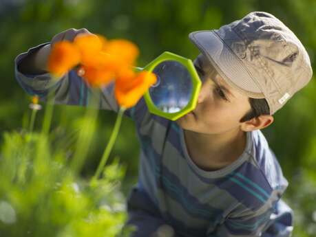 Sortie nature : petits pas au grand air