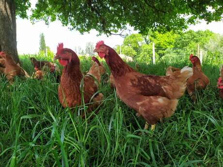 La Ferme de Kervern