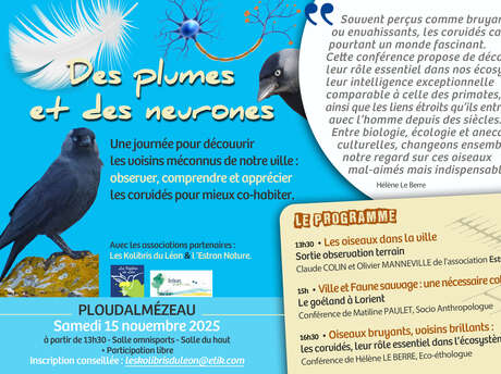 Des plumes et des neurones