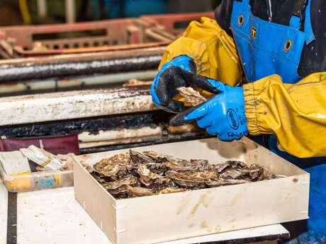 La Ferme Marine de Cancale