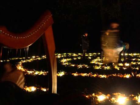 Nuit Féerique en Forêt