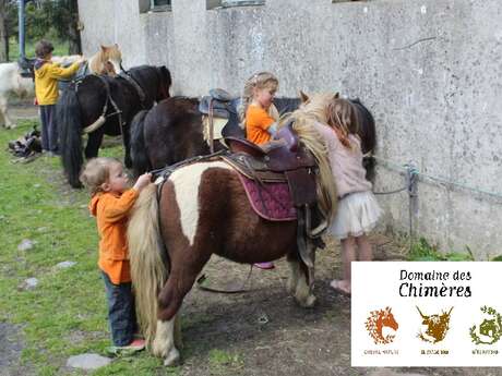 Atelier équimotricité de 18 mois à 6 ans