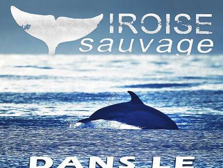 Conférence "Dans le Sillage des Dauphins"