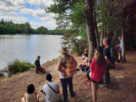 Balade contes et créations de nature