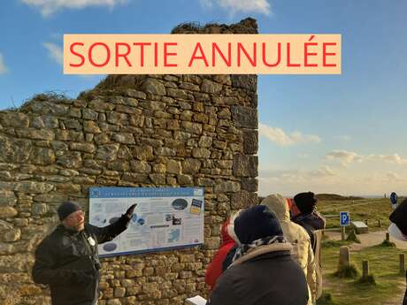 SORTIE ANNULÉE !!! Balade nocturne autour des phares de l'Iroise (Corsen)