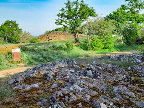 Visite guidée du site de Boutavent