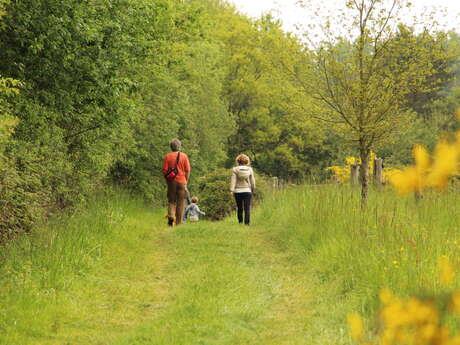 Balade en famille au Domaine de Careil