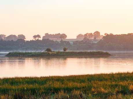 Les chauves-souris, Careil-ment épatantes