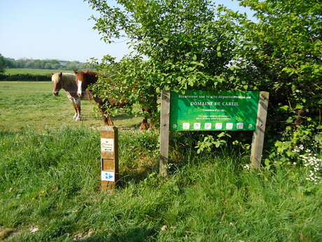 Une aventure nature autour de la mare