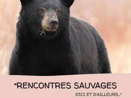"Rencontres sauvages, d'Ici et d'ailleurs" Exposition Photographique "Rencontres sauvages, d'Ici et d'ailleurs" Exposition Photographique