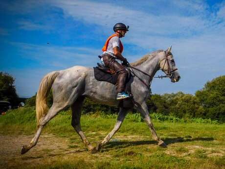 Championnats de Bretagne d’endurance équestre