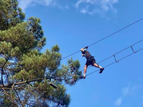 Escapades verticales : accrobranche