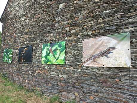 Expo Photo Nature