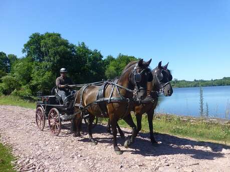 Equi’Attelage – Cavaliers des Fontenelles