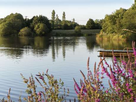 Etang d’er Lann Vras