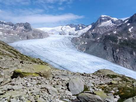 Exposition « Rando au royaume des cimes »