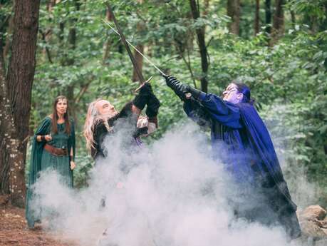 Spectacles immersifs : le Banquet d'Excalibur