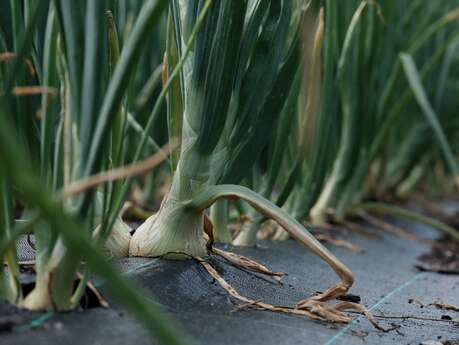 Ferme Graines de vie