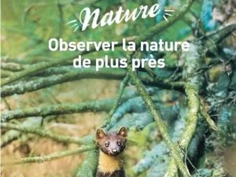 Grandeur nature : bain de nature