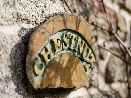 Forêt Totem - Chestnut
