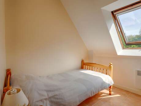 Forêt Totem - Beech