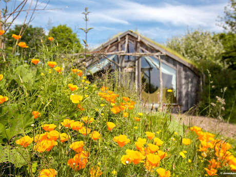 Ecolodges La Belle Verte sous les Pommiers et dans la Prairie