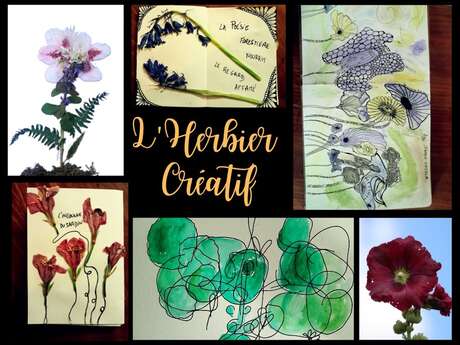 L'herbier créatif