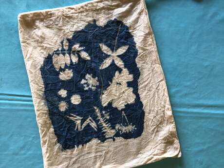 Fleurs sauvage en cyanotype - JEMP 2026