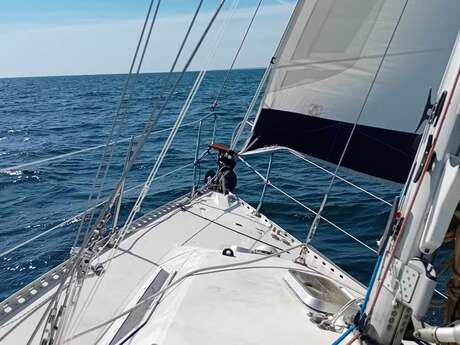 Moana Histoires d'Océan