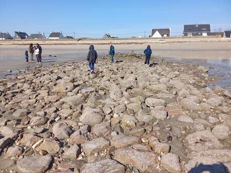 Balade géologique autour de Pont-Scorff