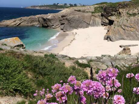 Balade commentée "Sur les traces des goémoniers"