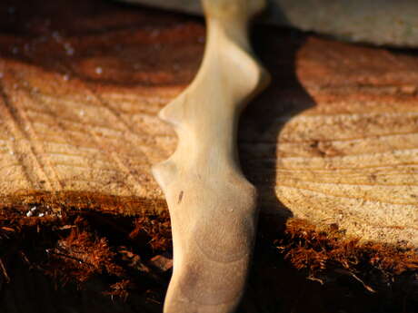 Stage Sculpture sur bois