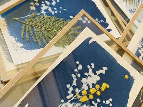 Initiation cyanotype