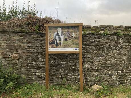 Pas à pas, à la découverte de la tourbière de Kerfontaine