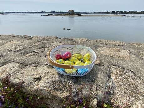 Chasse aux œufs à Saint-Cado