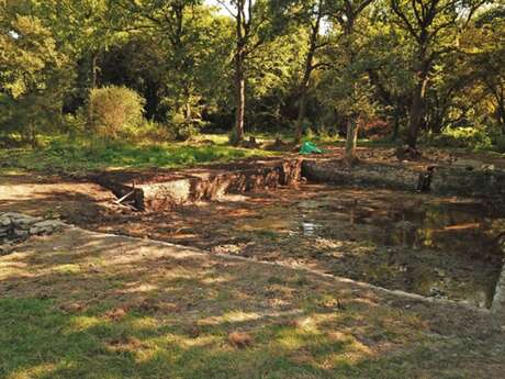 La piscine à chevaux