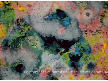 Exposition de Philippe Vergoz
