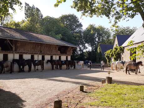 Ferme Equestre de Keropartz