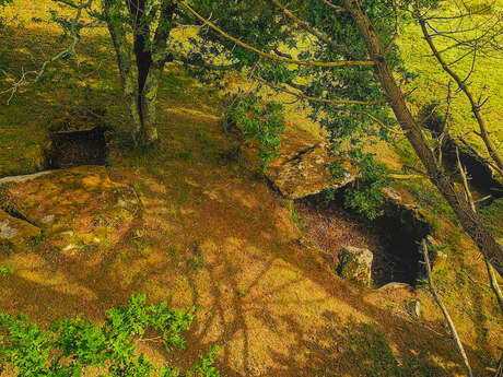 Dolmen de Kervilor Mané Bras