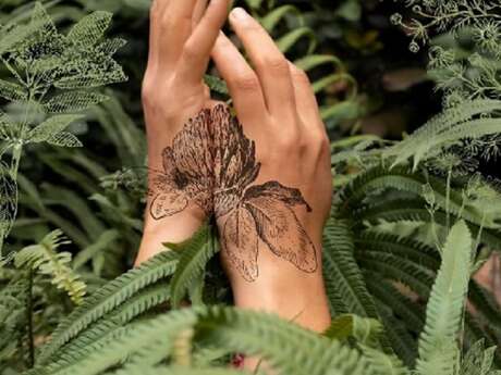 Veillée contée: La vie secrète des plantes