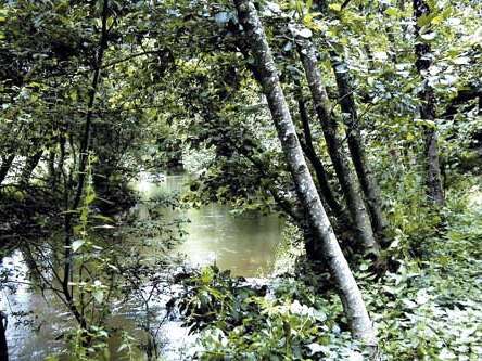 La vallée du Couesnon