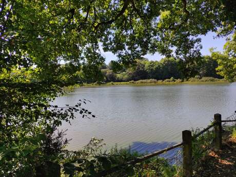 Etang du Dordu