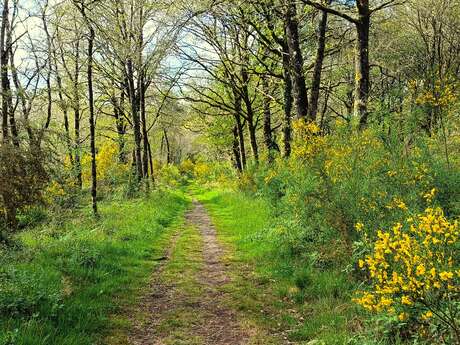 Sur le sentier des Fées, balade contée féerique