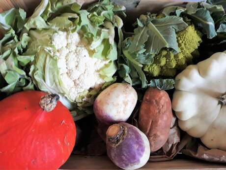 Marché de producteurs du vendredi