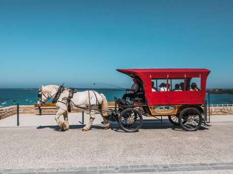 Les Chevaux de la Mer