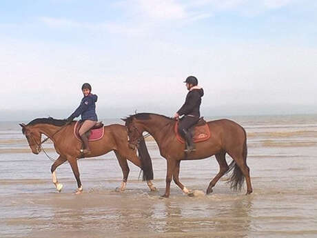 Les Écuries de la Mancelière