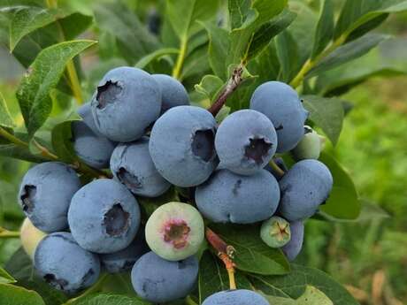 Les Jardins de Soléane